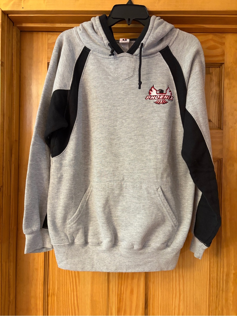 Phoenix Gray & Black Men's Pullover Hoodie